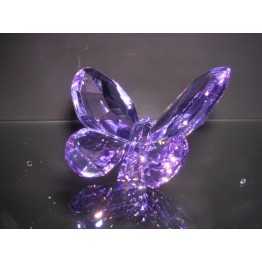 Vlinder Violet