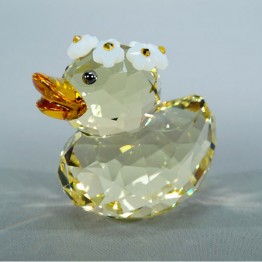Happy Duck - Charming Daisy