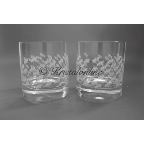 Whisky glazen - set van twee