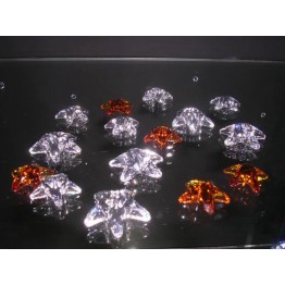 Mini Zeesterretjes (15 stuks)