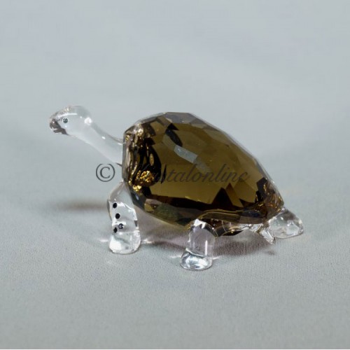 SCS - Galapagos Schildpad - Eventstuk 2010