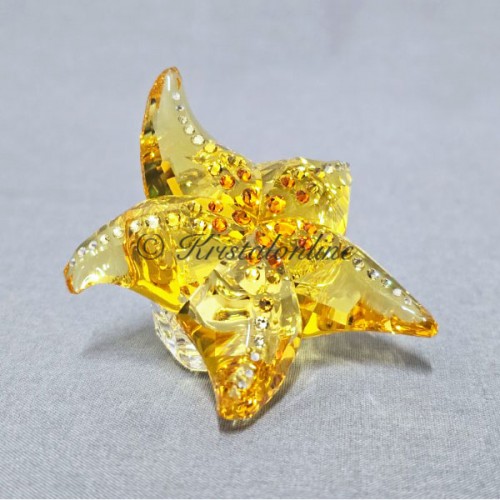 Swarovski Kristal | Jaarstukken | SCS - 2025 - Idyllia Zeester | 5690901