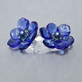 SCS - 2026 - Idyllia Anemoon Coronaria Bloem