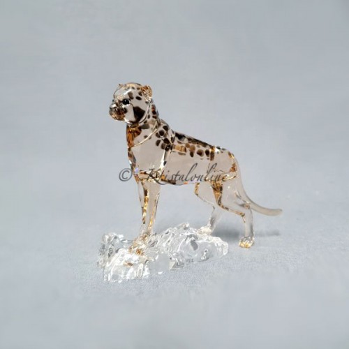 Swarovski Kristal | Jaarstukken | SCS - 2023 - Jachtluipaardwelp Jabari | 5636484