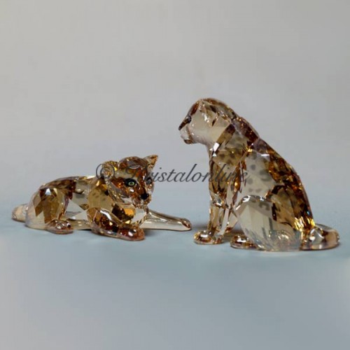 Swarovski Kristal |SCS Leden | SCS - 2019 - Amoerluipaard Jongen | 5428542