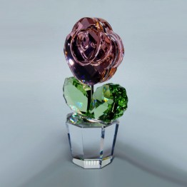 Roos Roze - Groot