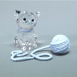 Poesje zittend met knot wol